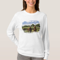 Ferme de chevaux pur-sang dans le comté de Marion,