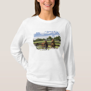 T-shirt Ferme de chevaux pur-sang dans le comté de Marion,