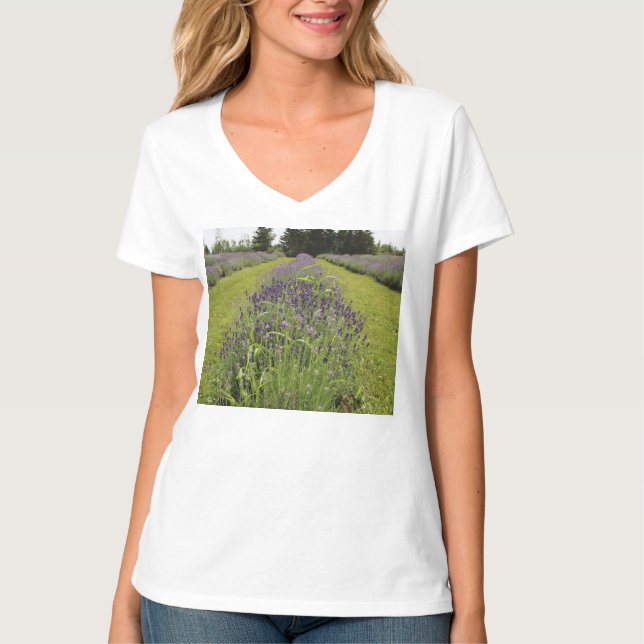 T-shirt Ferme de lavande de mer (Devant)