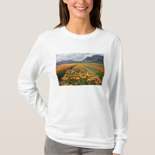 T-shirt Ferme de tulipes près d'Agassiz, Colombie-Britanni