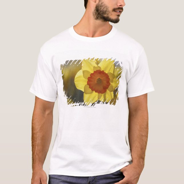 T-shirt Fermez-vous de jonquille jaune/orange (Devant)