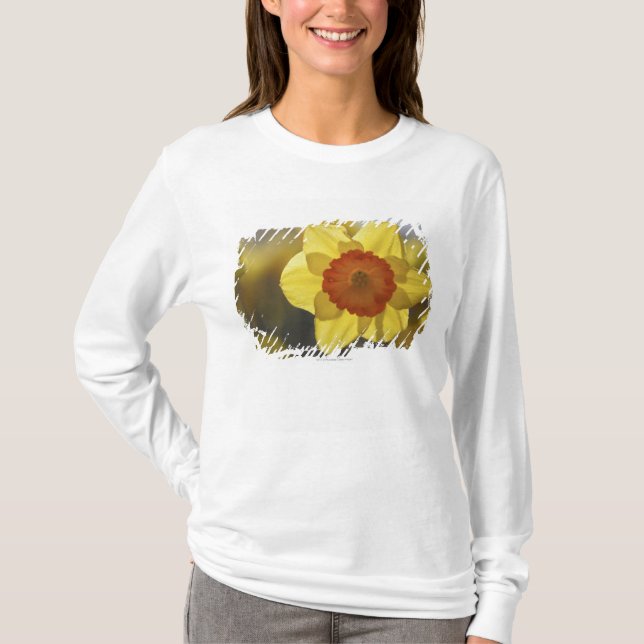 T-shirt Fermez-vous de jonquille jaune/orange (Devant)
