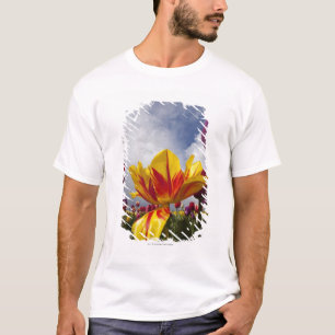 T-shirt Fermez-vous des tulipes de floraison colorées en