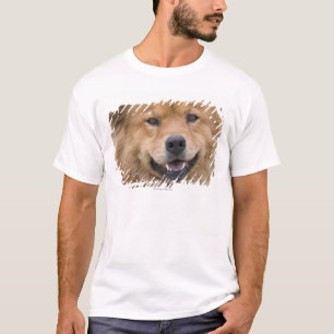 T-shirt Fermez-vous du chien de mélange de bouffe dehors