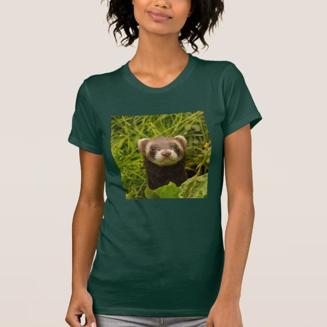 T-shirt Ferret Brown dans l'herbe (Devant)