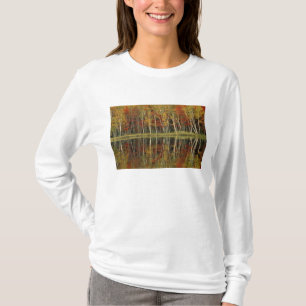T-shirt Feuillage d'automne et reflets de bouleau; Hiawath