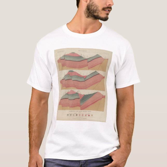 T-shirt Feuille 2 de secteur d'extraction de parc de (Devant)