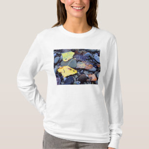 T-shirt Feuille de peuplier de Fremont sur plaine inondabl