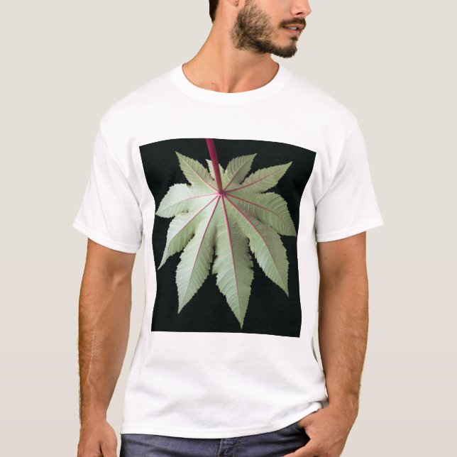 T-shirt Feuille et tige (Devant)