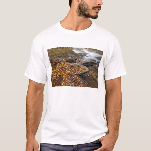 T-shirt Feuilles d'automne le long de Looking Glass Creek  (Devant)