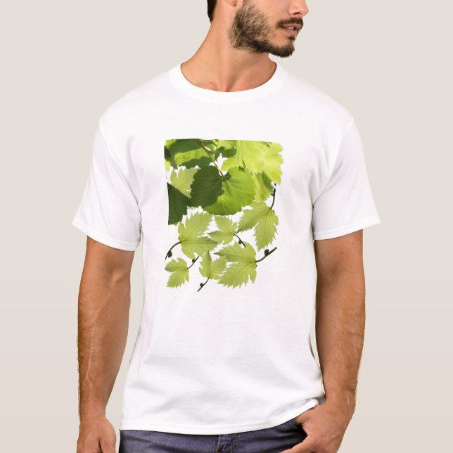 T-shirt Feuilles de vigne verte (Devant)