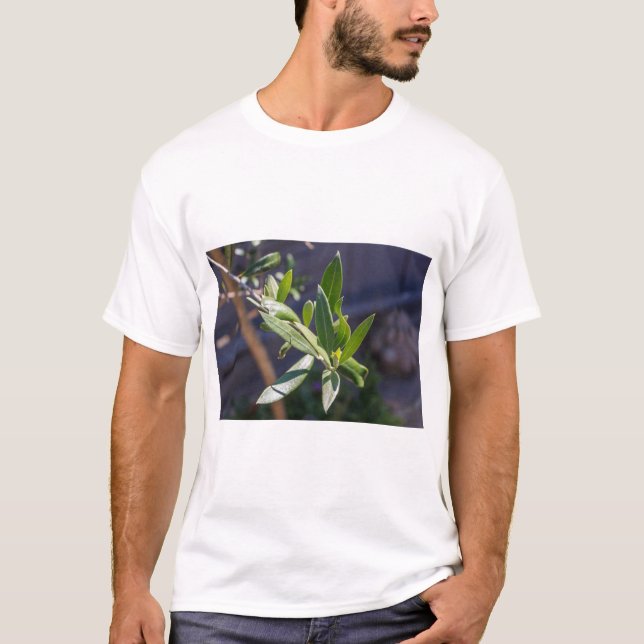 T-shirt Feuilles d'olivier (Devant)