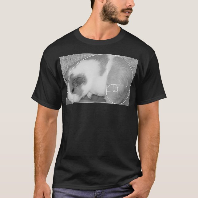 T-shirt Fibonacci Spiral Funny Math Golden Ratio Guinée (Devant)
