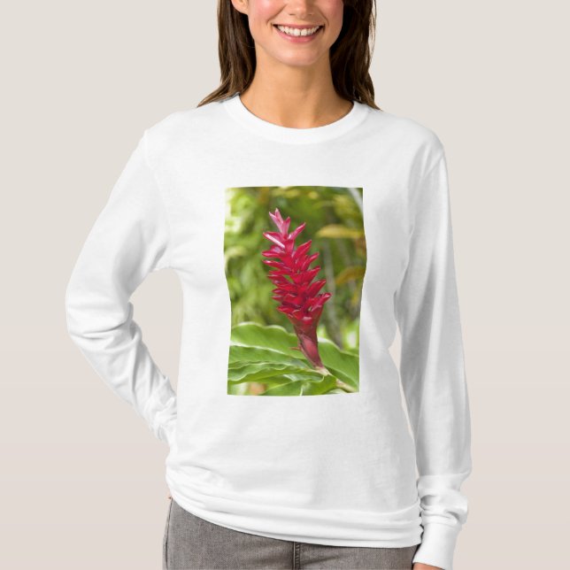 T-shirt Fidji, île de Viti Levu. Fleur. (Devant)