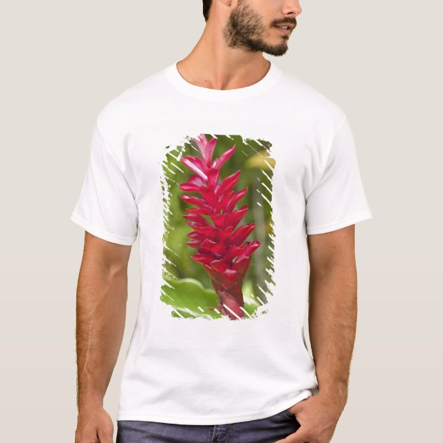 T-shirt Fidji, île de Viti Levu. Fleur. (Devant)