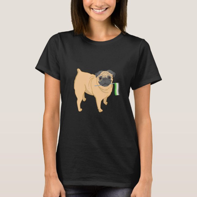 T-shirt Fierté aromantique Pug (Devant)