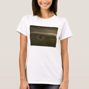 T-shirt Fin d'un but 2013
