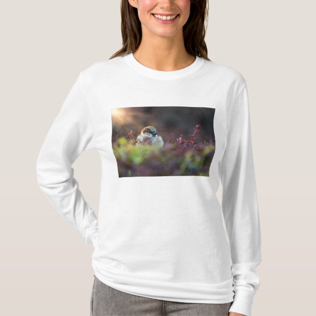 T-shirt Finition bain soleil (Devant)