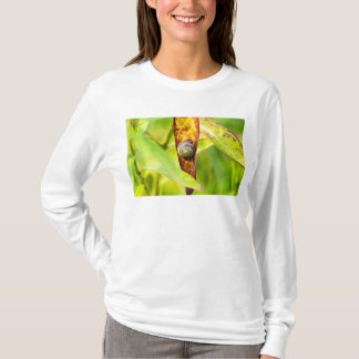 T-shirt fixation calme