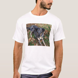 T-shirt Fixation de chien de léopard de Catahoula