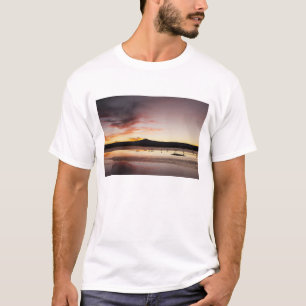 T-shirt Flamant du Chili