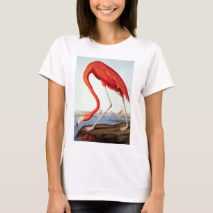 T-shirt Flamant rose américain