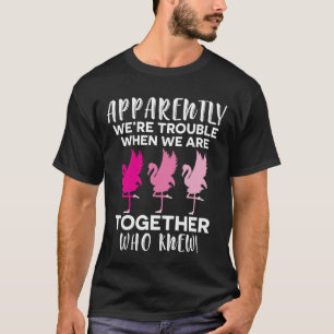 T-shirt Flamant rose apparemment nous sommes problème