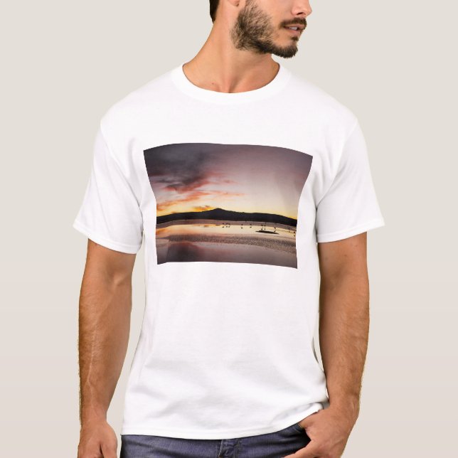 T-shirt Flamant rose chilien (Devant)