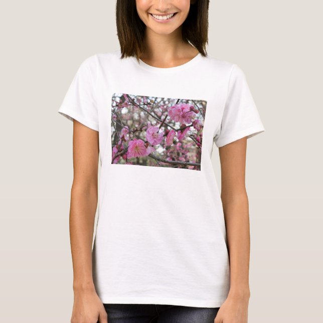 T-shirt Fleur de cerisier rose / Sakura / ク(桜) (Devant)