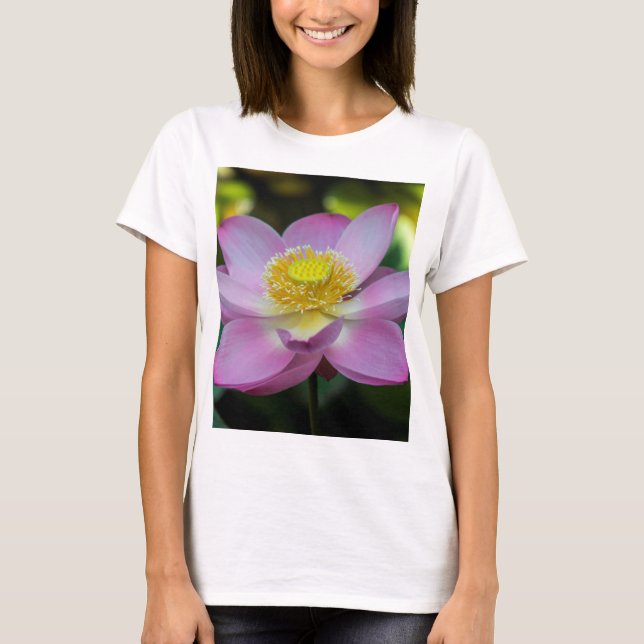 T-shirt Fleur de lotus en fleurs, Indonésie (Devant)