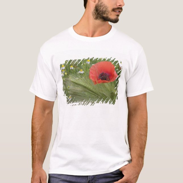 T-shirt Fleur de pavot rouge, Toscane, Italie (Devant)