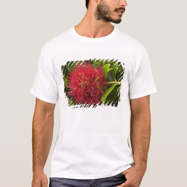 T-shirt Fleur de Pohutukawa, Dunedin (Devant)
