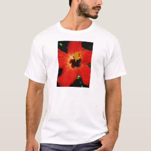 T-shirt Fleur d'Hibiscus rouge-orange