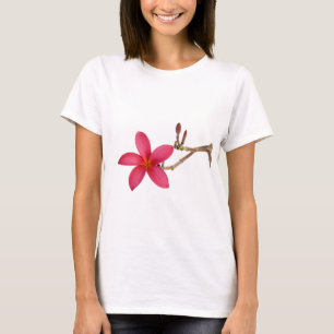 T-shirt Fleur rouge de Frangipani