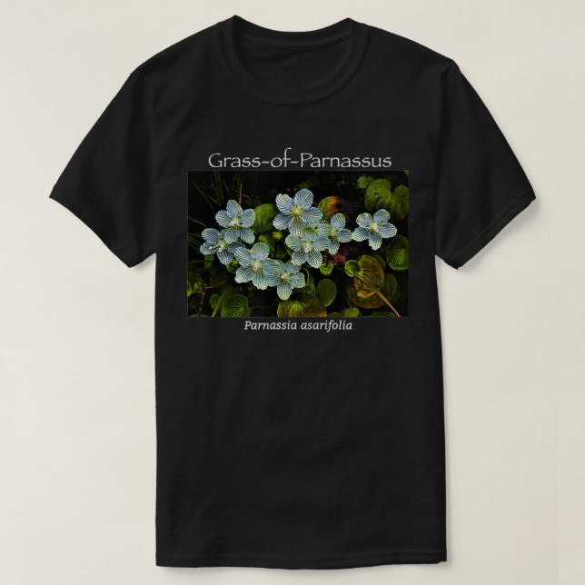 T-shirt Fleur sauvage de l'herbe du parnassus (Design devant)