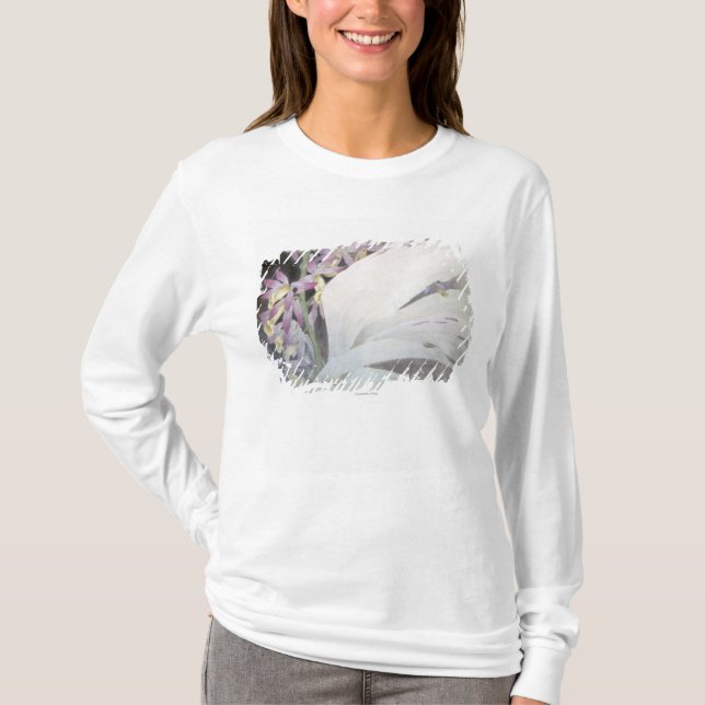 T-shirt Fleur Seires II Phaiuses (Devant)