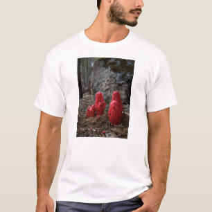 T-shirt Fleurs de neige