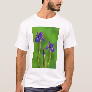 T-shirt Fleurs d'iris