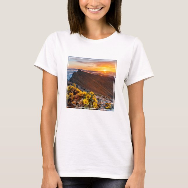 T-shirt Fleurs | Îles Canaries, Espagne (Devant)