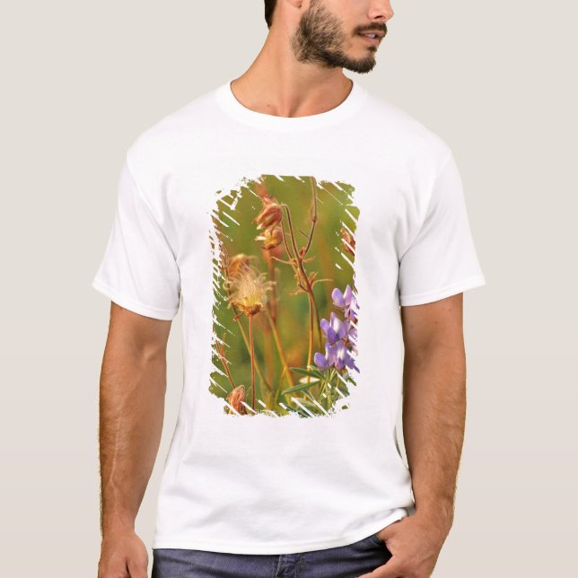 T-shirt fleurs sauvages de fumées de lupine et des Prairie (Devant)