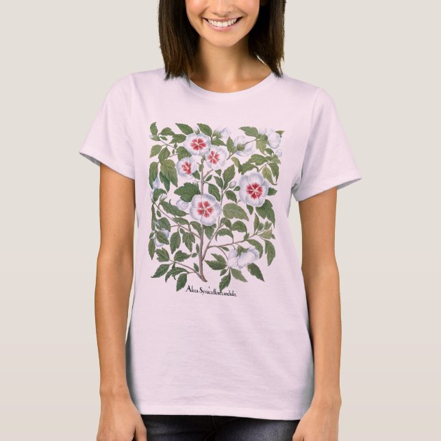 T-shirt Fleurs vintages d'Hibiscus par Basilius Besler (Devant)