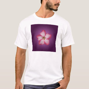 T-shirt Flore rose Adenium Violet rayé