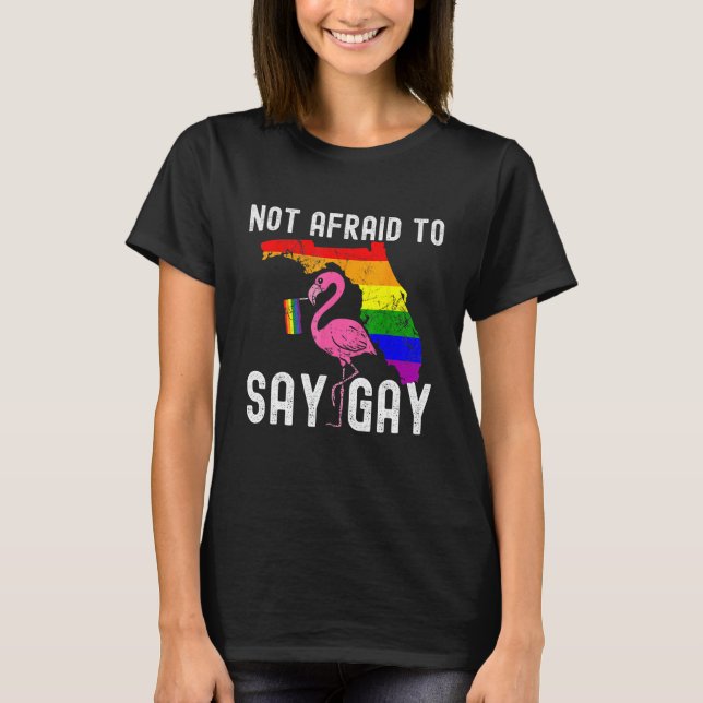 T-shirt Florida Gay Not Afraid To Say Gay LGBTQ Gay Rights (Devant)