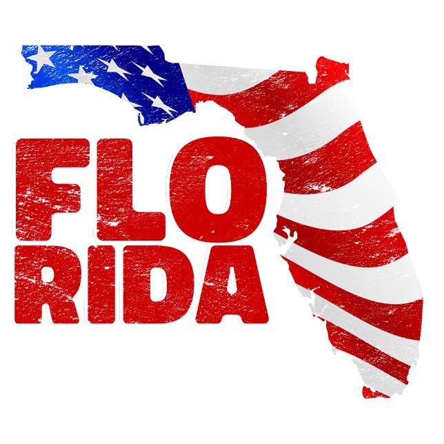 T-shirt Florida Pride États-Unis D'Amérique. (Créateur téléchargé)