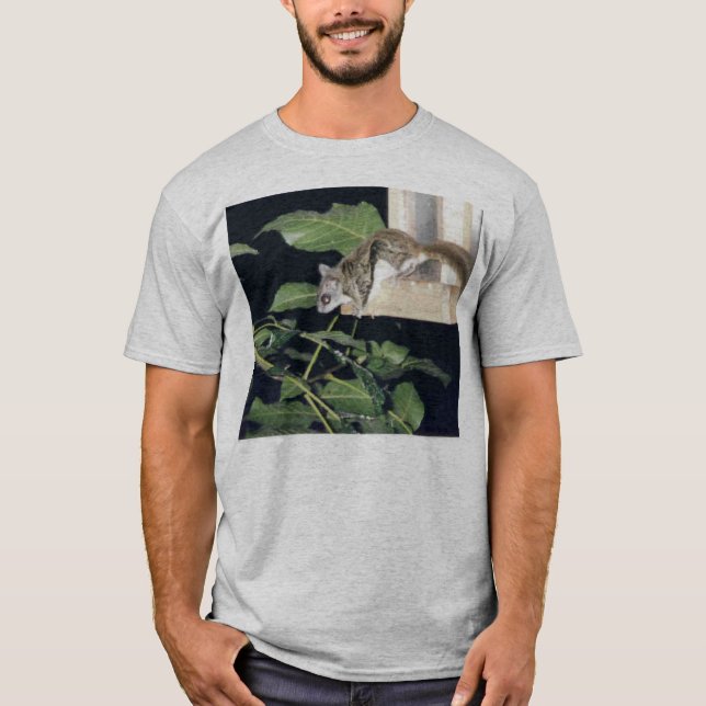T-shirt FlyingSquirrel (Devant)