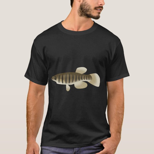 T-shirt Fondulus rayé (F. lineolatus) (Devant)