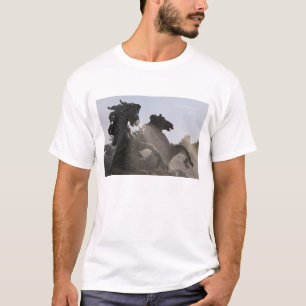 T-shirt Fontaine, Monument des Girondins, Bordeaux,