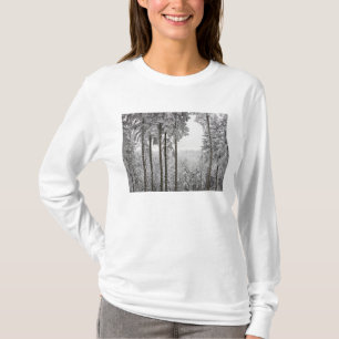 T-shirt Forêt à feuillage persistant en hiver