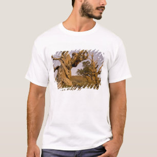 T-shirt Forêt antique de pins à bristlecone, Montagnes Bla