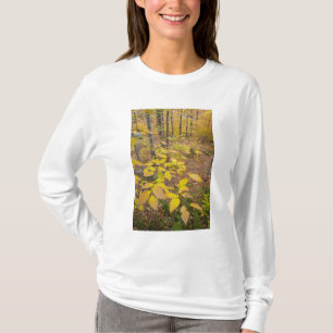 T-shirt Forêt de feuillus du nord du New Hampshire États